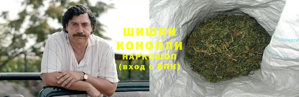 бошки Алексин