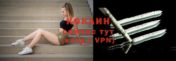 мдпв Няндома