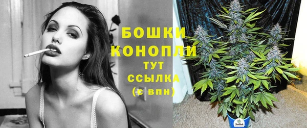 бошки Алексин
