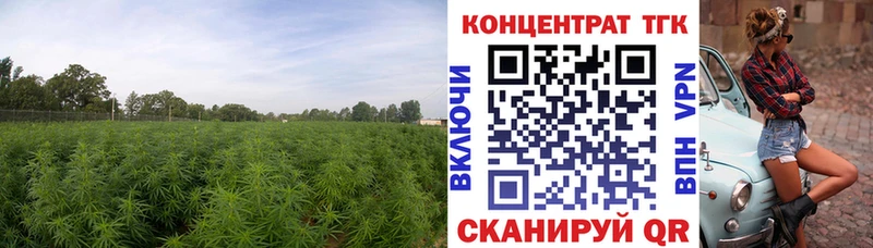 ТГК вейп с тгк  ОМГ ОМГ   Нытва  цены  